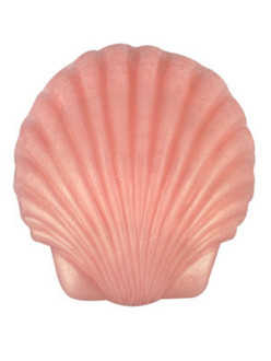 clam.jpg